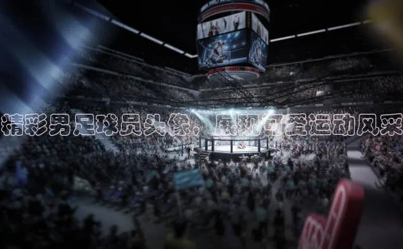 333体育投注网站轻美电器精彩男足球员头像，展现可爱运动风采