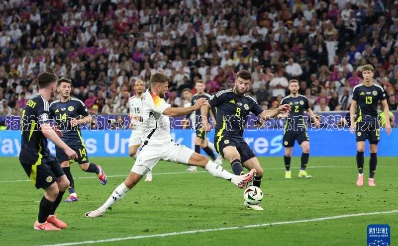 海淀运动会的承办单位一览：谁在为体育梦想助力？