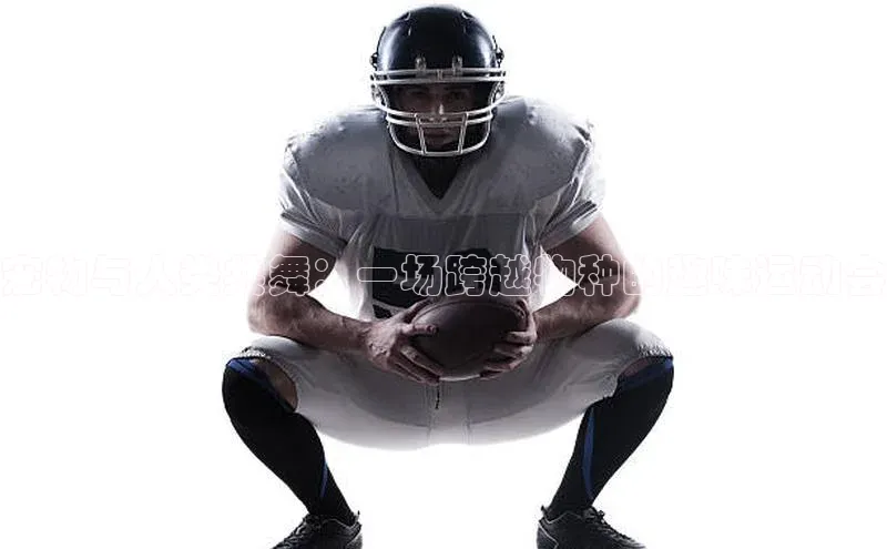 宠物与人类共舞：一场跨越物种的趣味运动会