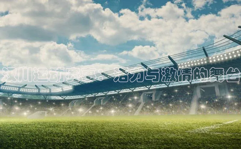 汉川运动赛事：活力与激情的舞台