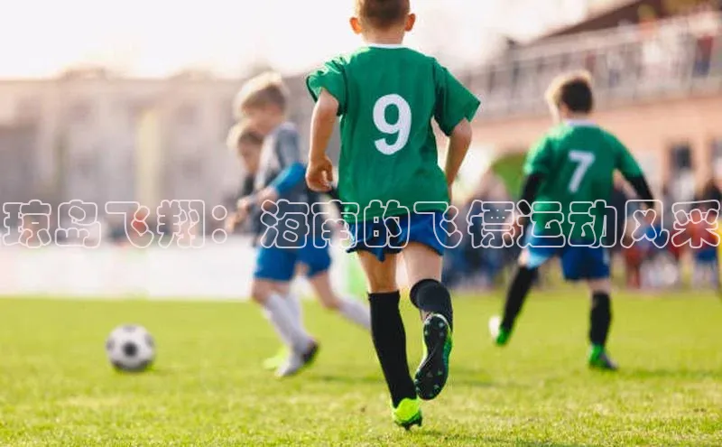 琼岛飞翔：海南的飞镖运动风采