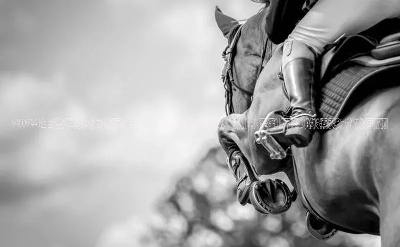 2024年度世界体育风云：从足球到篮球，从田径到网球的精彩对决回顾