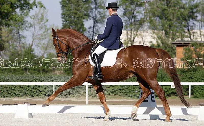 运动赛事与票务管理：策略、实践与创新展望