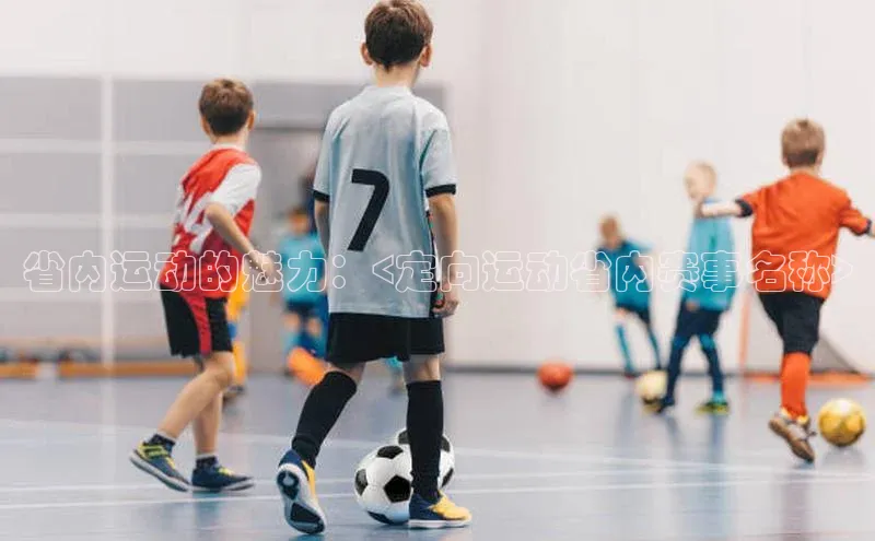 省内运动的魅力：<定向运动省内赛事名称>