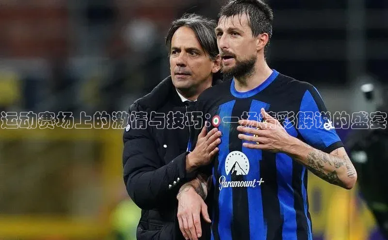 运动赛场上的激情与技巧：一场精彩解说的盛宴