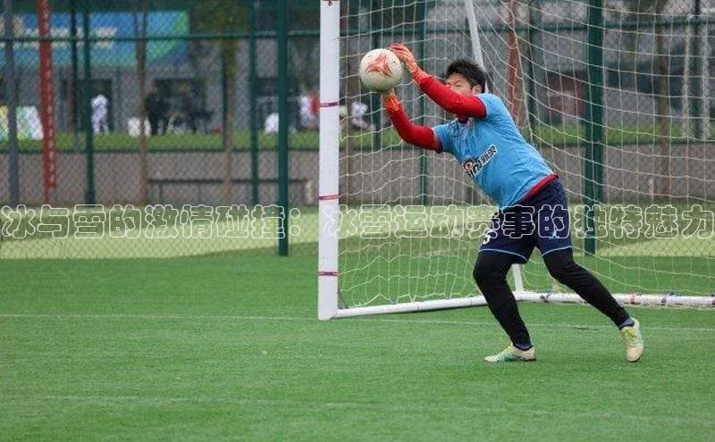 冰与雪的激情碰撞：冰雪运动赛事的独特魅力