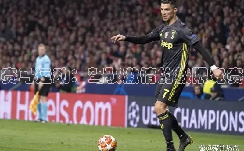 赛马运动：驾驭激情的极限竞赛