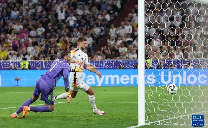 333体育官网在线登录