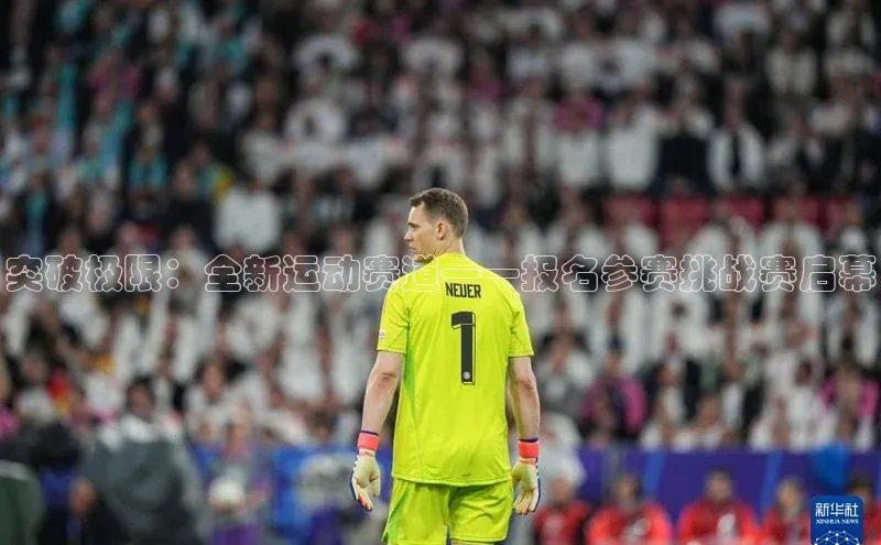 333体育官网入口