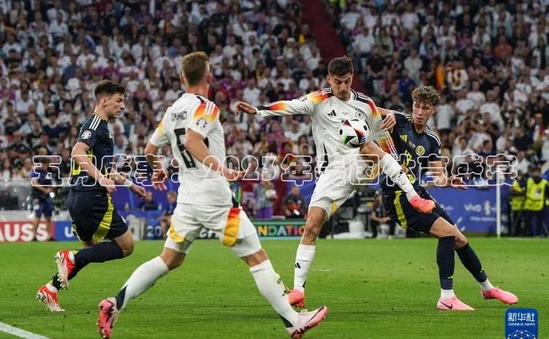 五月盛事：2023年美国体育盛宴