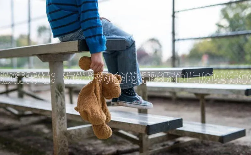 激情赛场：杭州运动会的精彩瞬间与历史传承