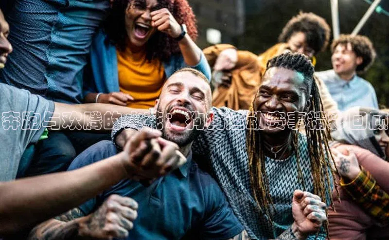 333体育app官方最新版本功能介绍